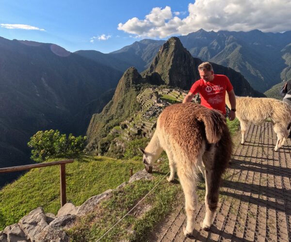 Machu Picchu by Expedition Train